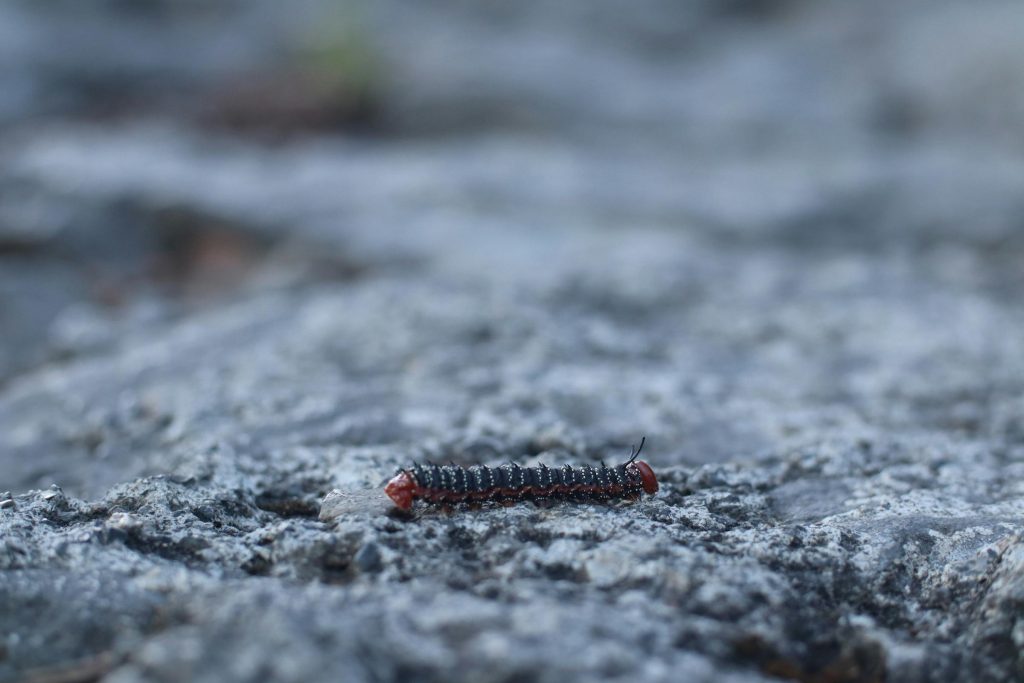 Construyendo Vínculos Significativos: Guía Práctica para Nuevos Comienzos Amorosos Después de los 50 - Guia Pratico para novos relacionamentos após os 50 anos